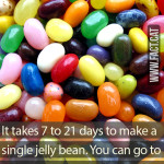How long does it take to make a jelly bean?