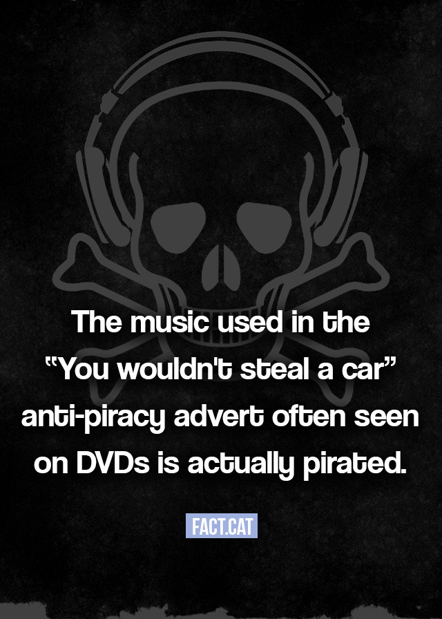 reddit piracy